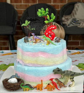 Rainbow Fairy Floss Cake